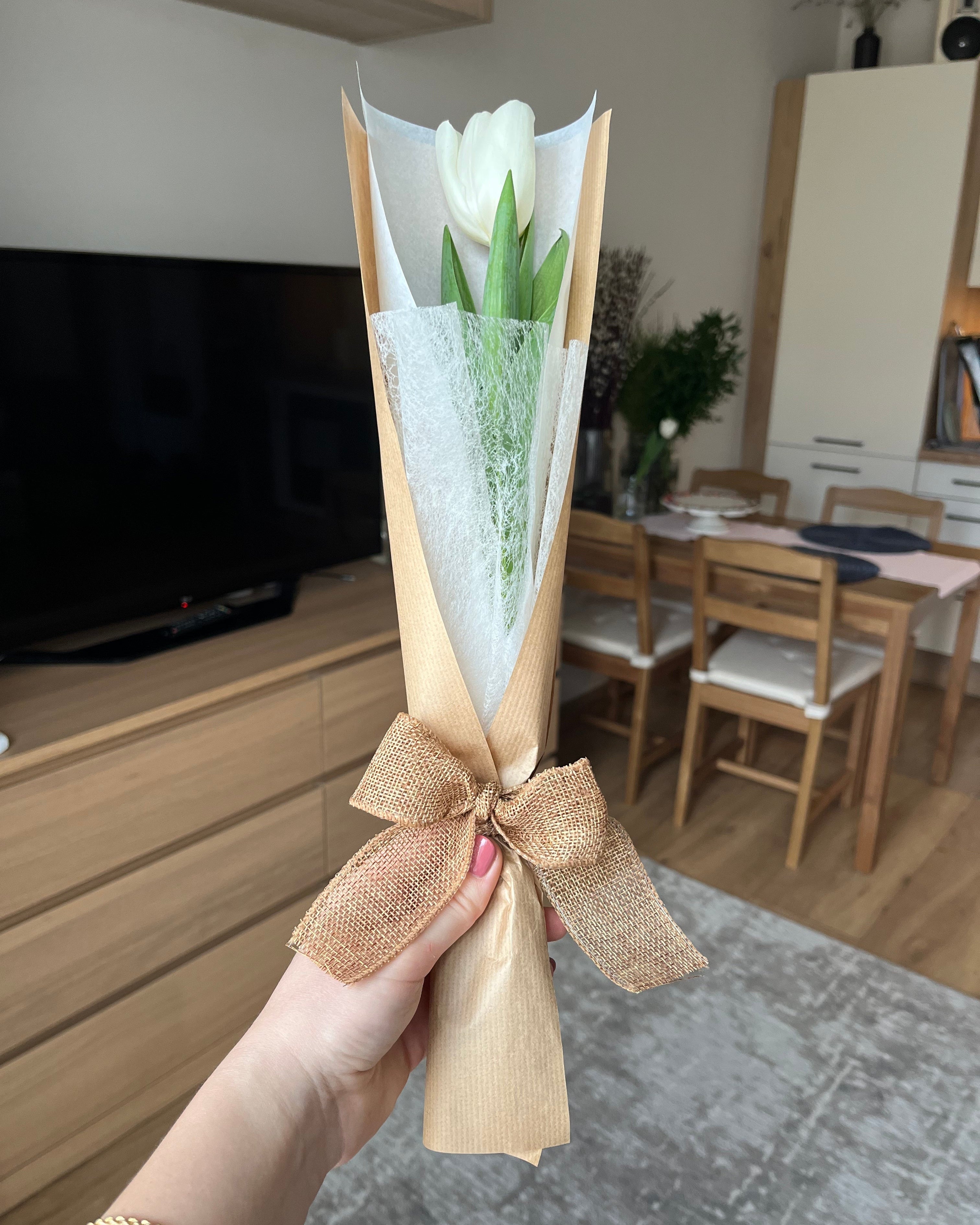 Tulipán - 1 szál díszcsomagolásban